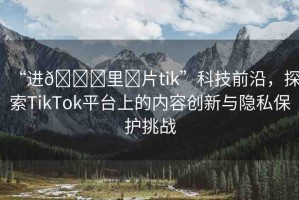 “進(jìn)??里?片tik”科技前沿，探索TikTok平臺上的內(nèi)容創(chuàng)新與隱私保護(hù)挑戰(zhàn)