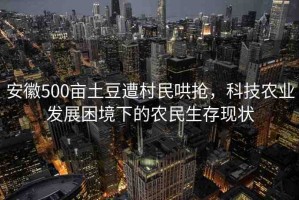 安徽500畝土豆遭村民哄搶，科技農(nóng)業(yè)發(fā)展困境下的農(nóng)民生存現(xiàn)狀