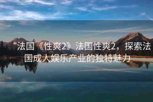 “法國《性爽2》法國性爽2，探索法國成人娛樂產業(yè)的獨特魅力