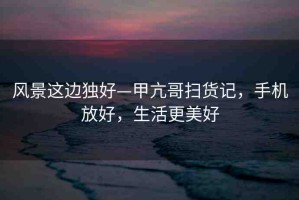 風(fēng)景這邊獨(dú)好—甲亢哥掃貨記，手機(jī)放好，生活更美好