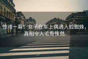 驚魂一幕！女子在車上偶遇人臉蜘蛛，真相令人毛骨悚然