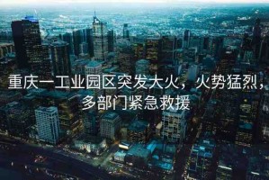 重慶一工業(yè)園區(qū)突發(fā)大火，火勢猛烈，多部門緊急救援
