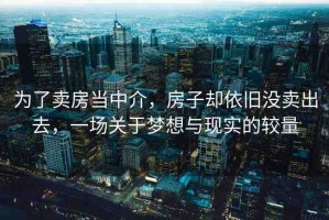 為了賣房當中介，房子卻依舊沒賣出去，一場關于夢想與現(xiàn)實的較量