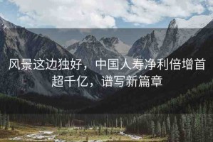 風(fēng)景這邊獨(dú)好，中國人壽凈利倍增首超千億，譜寫新篇章