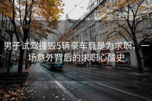 男子試駕撞毀5輛豪車竟是為求職，一場意外背后的求職心酸史