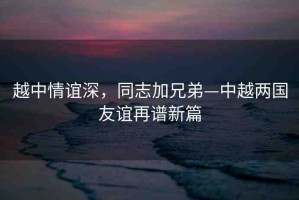 越中情誼深，同志加兄弟—中越兩國友誼再譜新篇