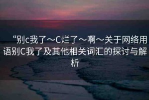 “別c我了～C爛了～啊～關(guān)于網(wǎng)絡(luò)用語別C我了及其他相關(guān)詞匯的探討與解析