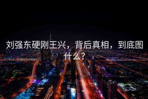 劉強(qiáng)東硬剛王興，背后真相，到底圖什么？