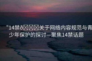 “14禁??關(guān)于網(wǎng)絡(luò)內(nèi)容規(guī)范與青少年保護(hù)的探討—聚焦14禁話題