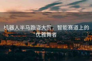 機(jī)器人半馬跑姿大賞，智能賽道上的優(yōu)雅舞者