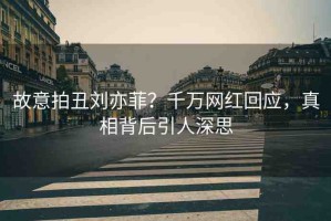 故意拍丑劉亦菲？千萬(wàn)網(wǎng)紅回應(yīng)，真相背后引人深思