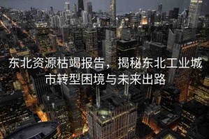 東北資源枯竭報(bào)告，揭秘東北工業(yè)城市轉(zhuǎn)型困境與未來出路