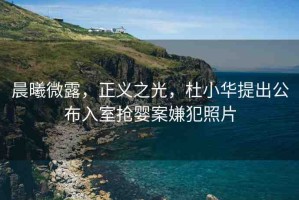 晨曦微露，正義之光，杜小華提出公布入室搶嬰案嫌犯照片