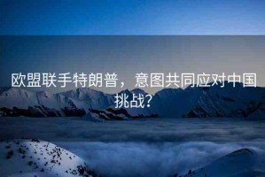 歐盟聯(lián)手特朗普，意圖共同應(yīng)對(duì)中國(guó)挑戰(zhàn)？