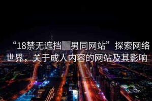“18禁無遮擋▓男同網(wǎng)站”探索網(wǎng)絡世界，關于成人內容的網(wǎng)站及其影響