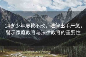 14歲少年屢教不改，法律出手嚴(yán)懲，警示家庭教育與法律教育的重要性