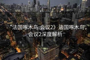 “法國(guó)啄木鳥:會(huì)議2》法國(guó)啄木鳥，會(huì)議2深度解析