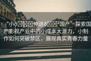 “小??伸進(jìn)??國(guó)產(chǎn)”探索國(guó)產(chǎn)影視產(chǎn)業(yè)中的小成本大潛力，小制作如何突破禁區(qū)，展現(xiàn)真實(shí)青春力量
