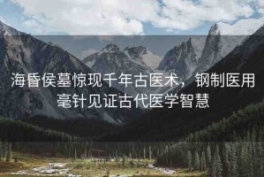 海昏侯墓驚現(xiàn)千年古醫(yī)術(shù)，鋼制醫(yī)用毫針見證古代醫(yī)學(xué)智慧