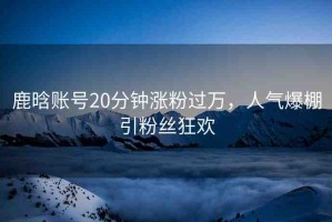 鹿晗賬號(hào)20分鐘漲粉過(guò)萬(wàn)，人氣爆棚引粉絲狂歡