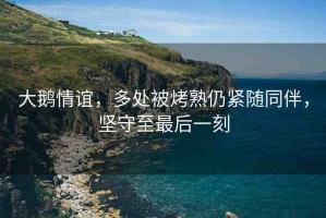 大鵝情誼，多處被烤熟仍緊隨同伴，堅(jiān)守至最后一刻