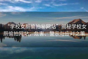“學(xué)校女廁偷拍秘網(wǎng)站”揭秘學(xué)校女廁偷拍網(wǎng)站，危害、警示與應(yīng)對之策