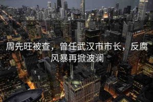 周先旺被查，曾任武漢市市長，反腐風(fēng)暴再掀波瀾