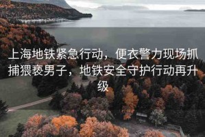 上海地鐵緊急行動(dòng)，便衣警力現(xiàn)場(chǎng)抓捕猥褻男子，地鐵安全守護(hù)行動(dòng)再升級(jí)