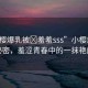 “小櫻爆乳被?羞羞sss”小櫻爆乳的秘密，羞澀青春中的一抹艷麗