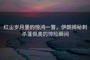 紅塵歲月里的驚鴻一瞥，伊朗揭秘刺殺蓬佩奧的驚險(xiǎn)瞬間
