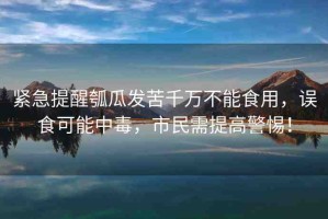 緊急提醒瓠瓜發(fā)苦千萬不能食用，誤食可能中毒，市民需提高警惕！