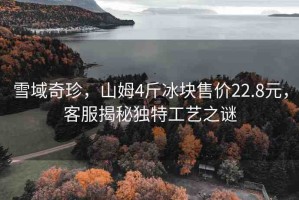 雪域奇珍，山姆4斤冰塊售價22.8元，客服揭秘獨(dú)特工藝之謎