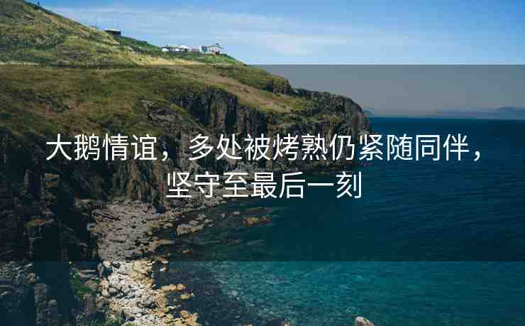 大鵝情誼，多處被烤熟仍緊隨同伴，堅(jiān)守至最后一刻