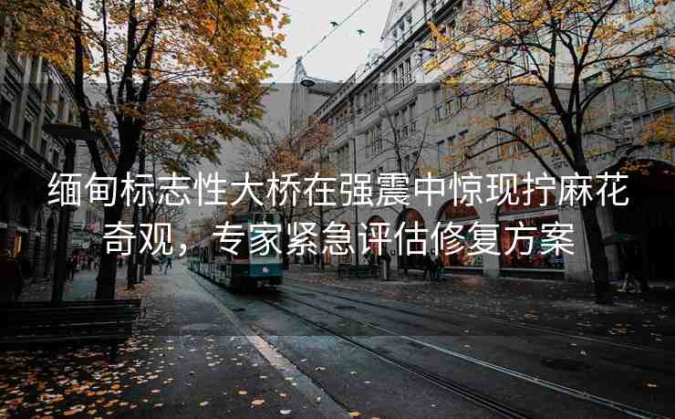 緬甸標(biāo)志性大橋在強(qiáng)震中驚現(xiàn)擰麻花奇觀，專家緊急評估修復(fù)方案