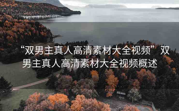 “雙男主真人高清素材大全視頻”雙男主真人高清素材大全視頻概述