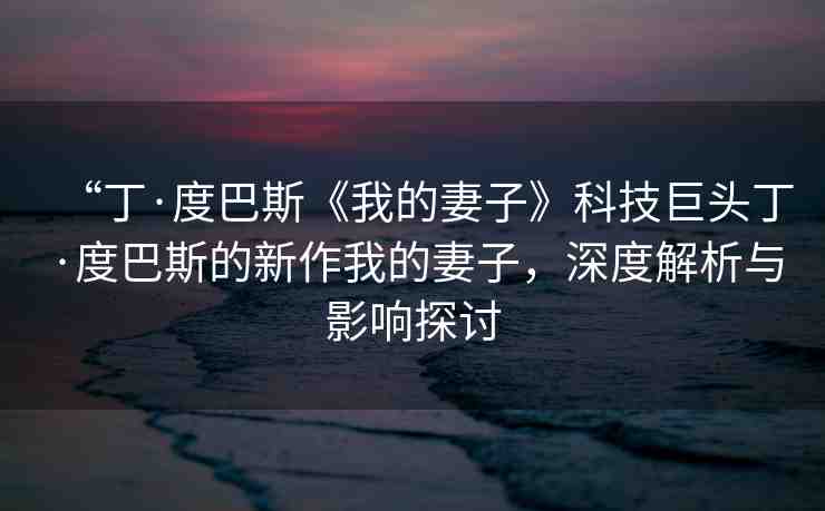 “丁·度巴斯《我的妻子》科技巨頭丁·度巴斯的新作我的妻子，深度解析與影響探討