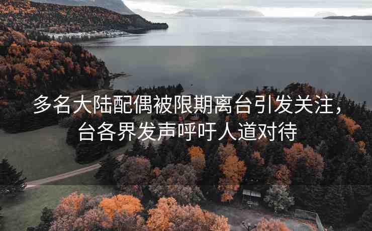 多名大陸配偶被限期離臺(tái)引發(fā)關(guān)注，臺(tái)各界發(fā)聲呼吁人道對(duì)待