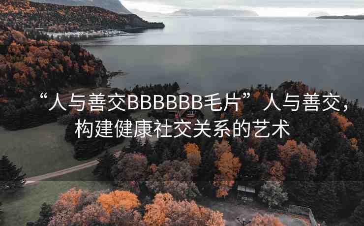 “人與善交BBBBBB毛片”人與善交，構(gòu)建健康社交關(guān)系的藝術(shù)