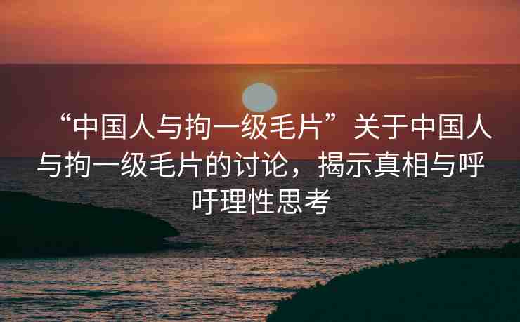 “中國人與拘一級毛片”關于中國人與拘一級毛片的討論，揭示真相與呼吁理性思考