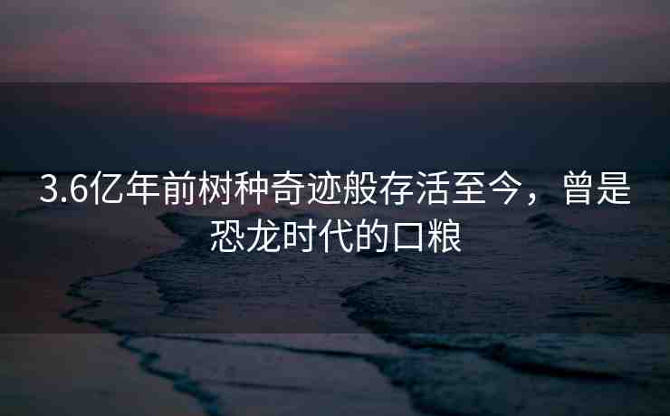 3.6億年前樹種奇跡般存活至今，曾是恐龍時代的口糧