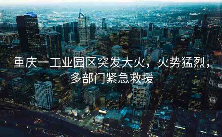 重慶一工業(yè)園區(qū)突發(fā)大火，火勢(shì)猛烈，多部門緊急救援