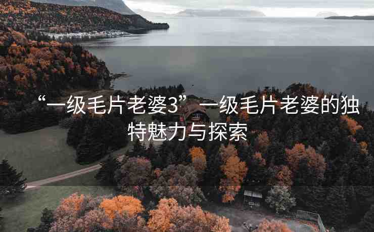 “一級毛片老婆3”一級毛片老婆的獨(dú)特魅力與探索