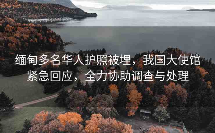 緬甸多名華人護照被埋，我國大使館緊急回應(yīng)，全力協(xié)助調(diào)查與處理