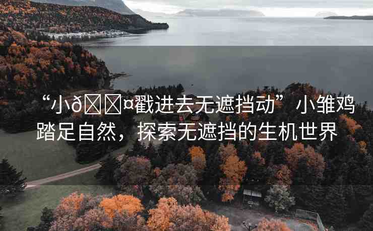 “小??戳進(jìn)去無(wú)遮擋動(dòng)”小雛雞踏足自然，探索無(wú)遮擋的生機(jī)世界
