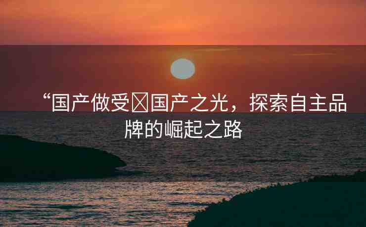 “國產(chǎn)做受?國產(chǎn)之光，探索自主品牌的崛起之路