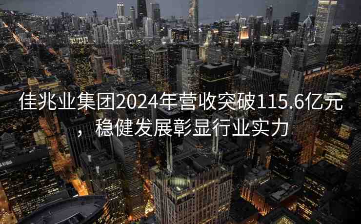 佳兆業(yè)集團2024年營收突破115.6億元，穩(wěn)健發(fā)展彰顯行業(yè)實力