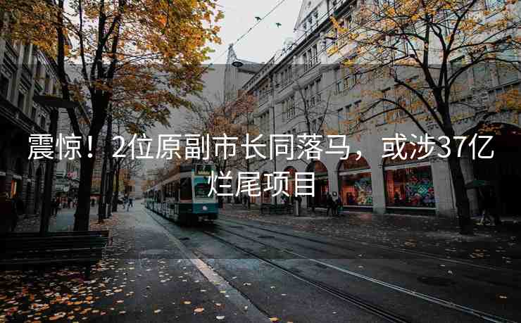 震驚！2位原副市長同落馬，或涉37億爛尾項(xiàng)目