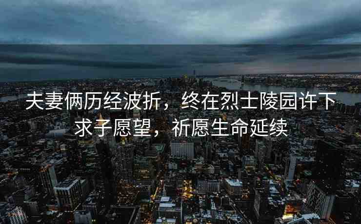 夫妻倆歷經波折，終在烈士陵園許下求子愿望，祈愿生命延續(xù)