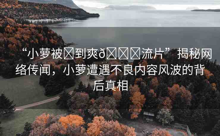 “小蘿被?到爽??流片”揭秘網(wǎng)絡(luò)傳聞，小蘿遭遇不良內(nèi)容風(fēng)波的背后真相