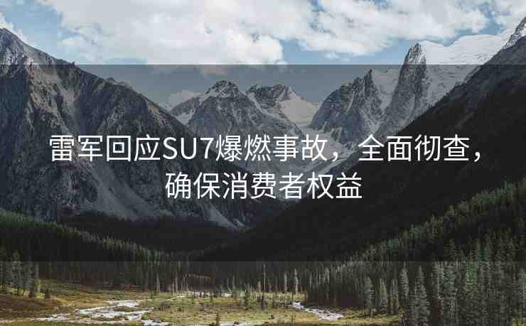 雷軍回應(yīng)SU7爆燃事故，全面徹查，確保消費(fèi)者權(quán)益
